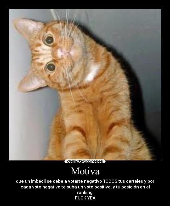 Motiva - que un imbécil se cebe a votarte negativo TODOS tus carteles y por
cada voto negativo te suba un voto positivo, y tu posición en el
ranking.
FUCK YEA