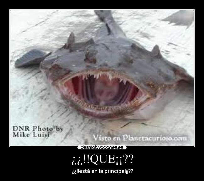 ¿¿!!QUE¡¡?? - ¿¿!!está en la principal¡¡??