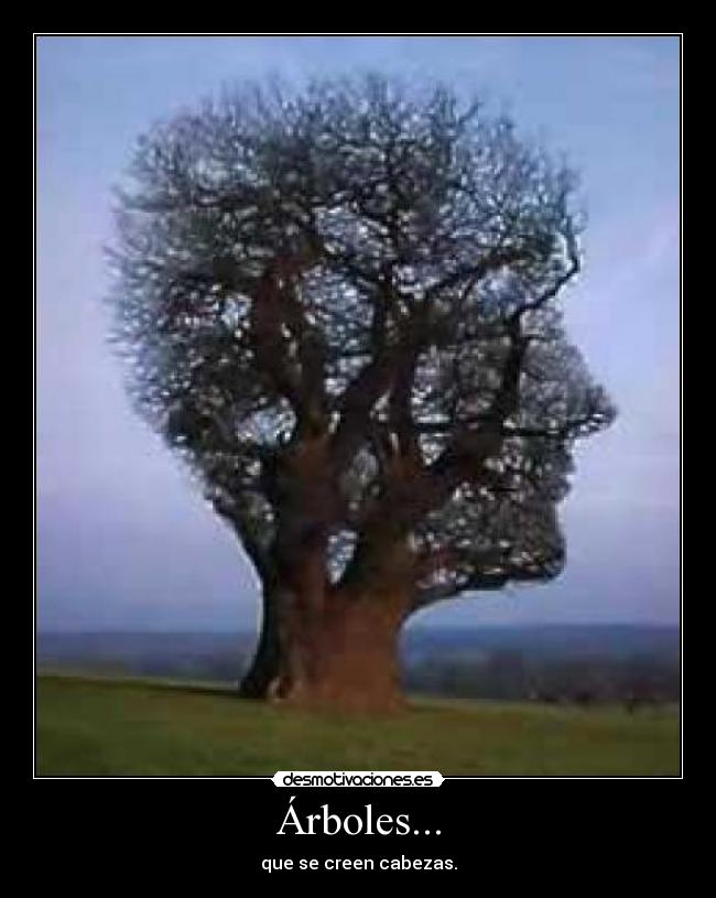 Árboles... -