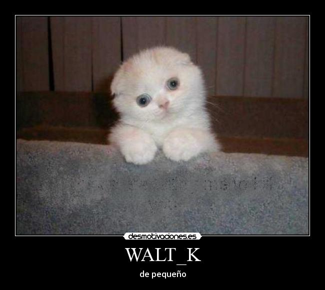 WALT_K -