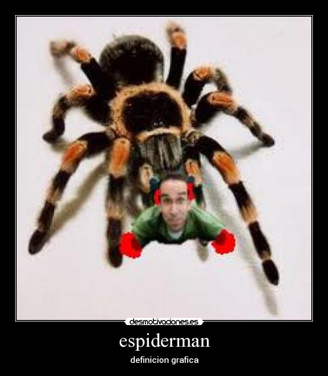 espiderman - 