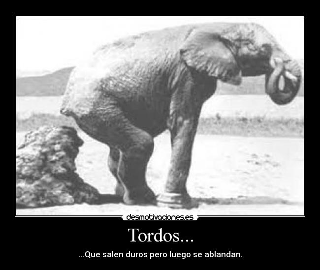 Tordos... - 