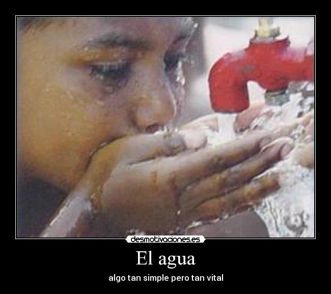 El agua - algo tan simple pero tan vital