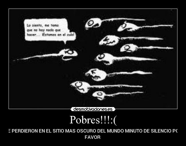 Pobres!!!:( - 