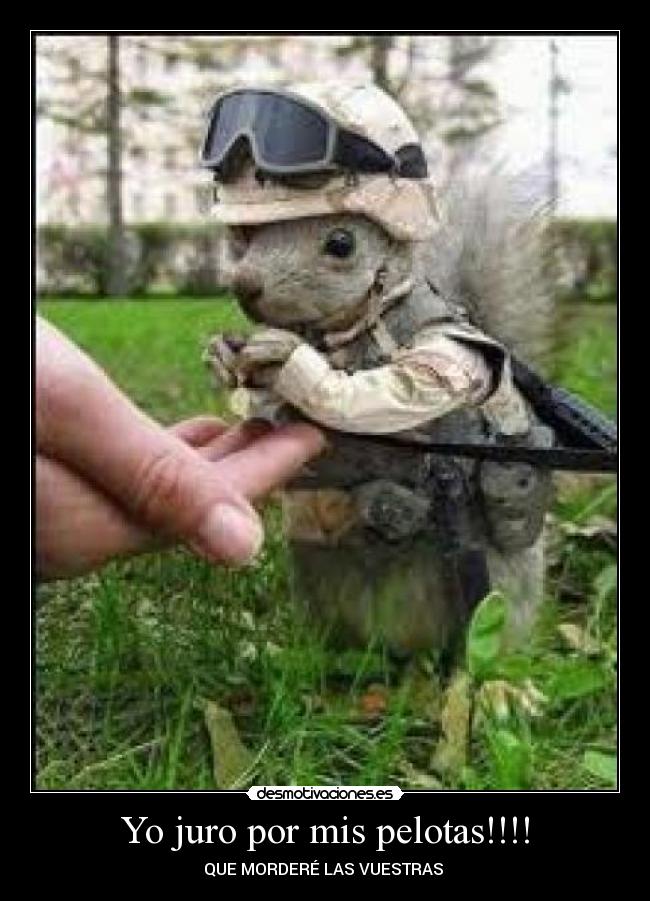 Yo juro por mis pelotas!!!! -