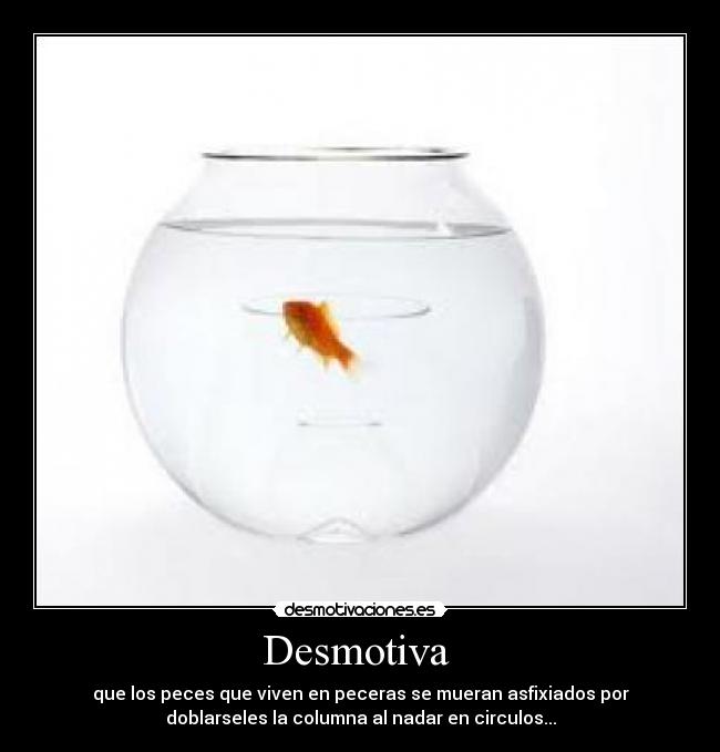 Desmotiva - que los peces que viven en peceras se mueran asfixiados por
doblarseles la columna al nadar en circulos...