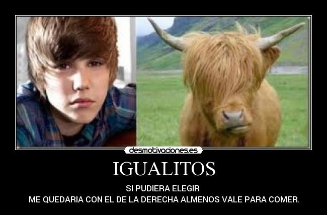 IGUALITOS - SI PUDIERA ELEGIR 
ME QUEDARIA CON EL DE LA DERECHA ALMENOS VALE PARA COMER.