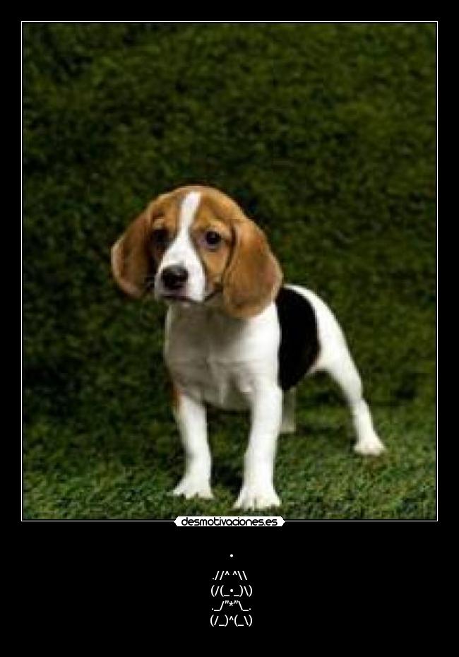 . - .//^ ^\\
(/(_•_)\)
._/”*”\_.
(/_)^(_\)