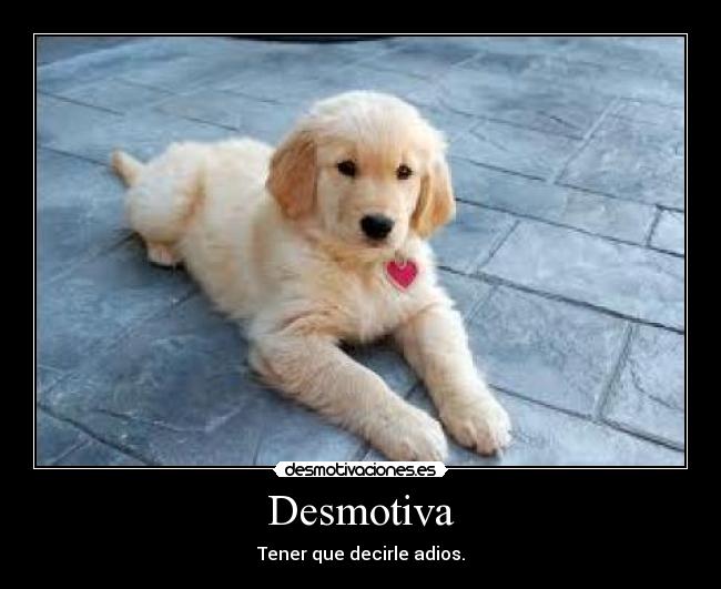 Desmotiva -