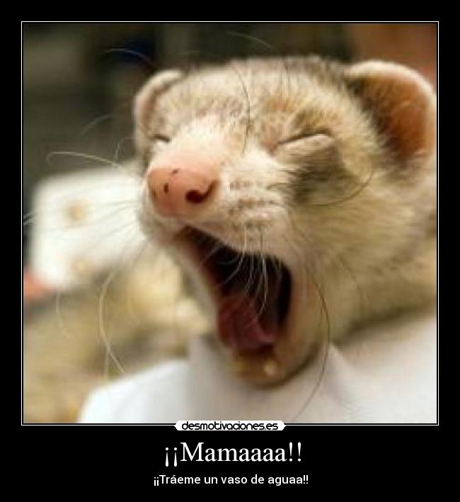 ¡¡Mamaaaa!! -