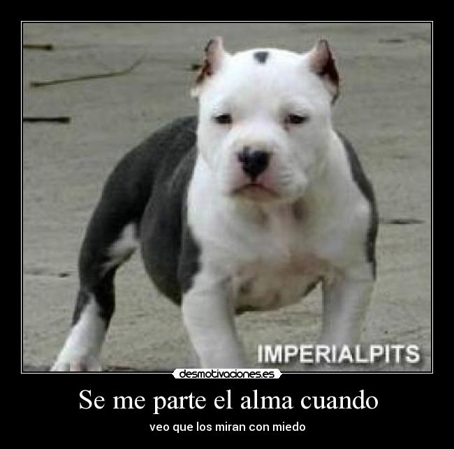 Se me parte el alma cuando -