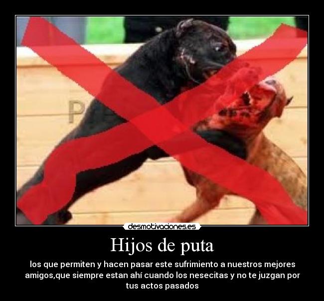 Hijos de puta - los que permiten y hacen pasar este sufrimiento a nuestros mejores
amigos,que siempre estan ahí cuando los nesecitas y no te juzgan por
tus actos pasados