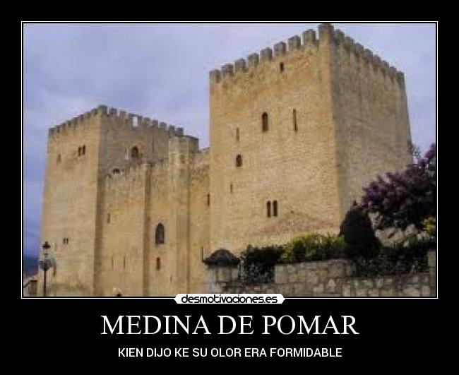 MEDINA DE POMAR - 