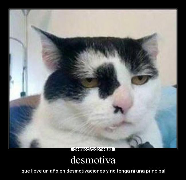 desmotiva -