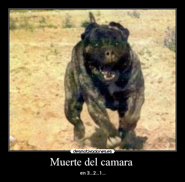 Muerte del camara  - 