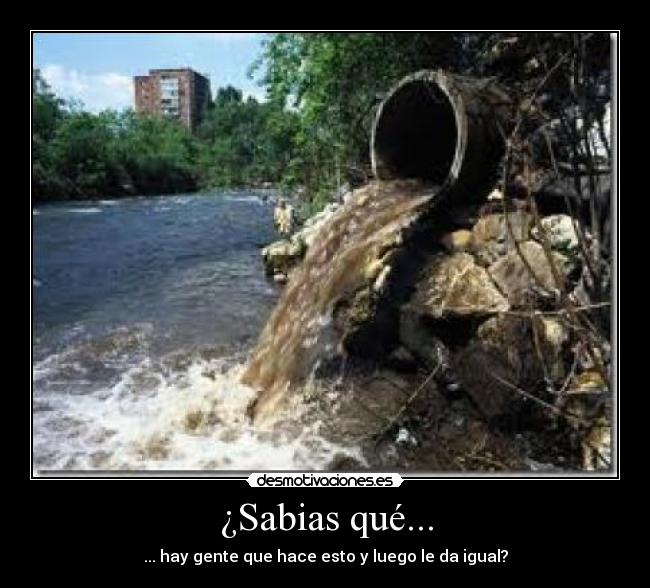 ¿Sabias qué... -