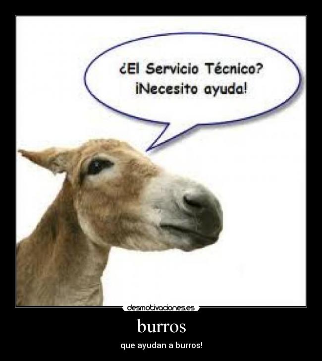 burros - que ayudan a burros!