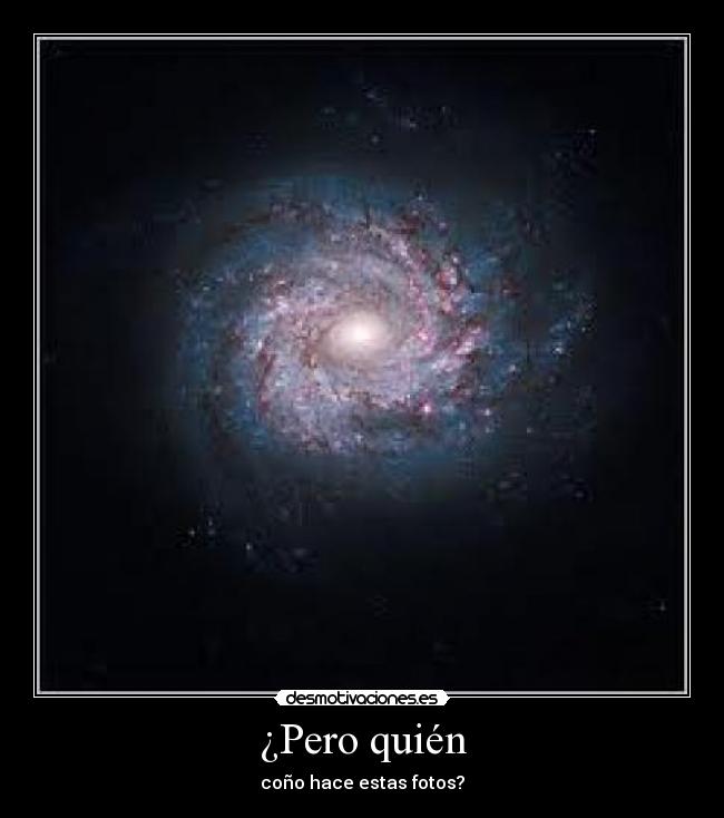 ¿Pero quién - coño hace estas fotos?
