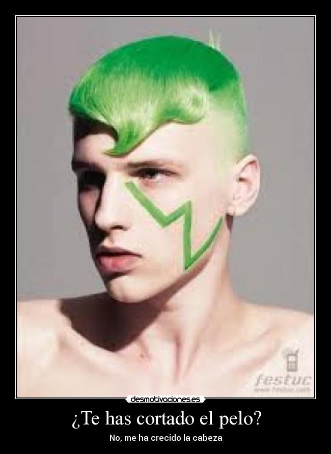 ¿Te has cortado el pelo? -