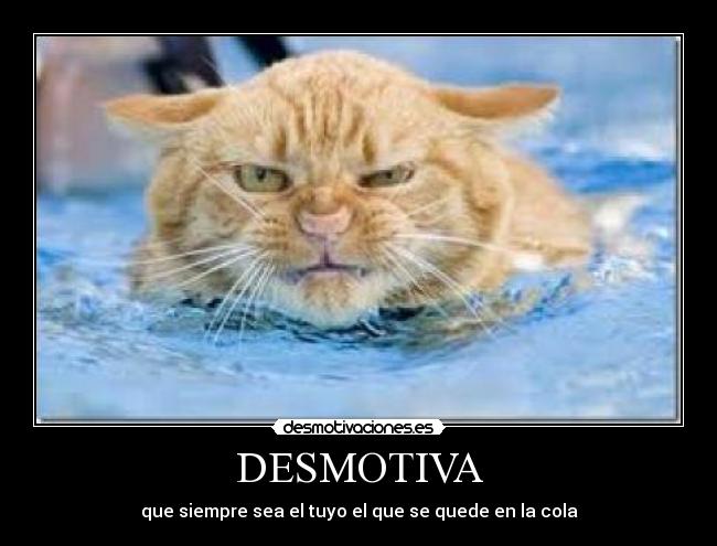 carteles jaimejc9 desmotivaciones