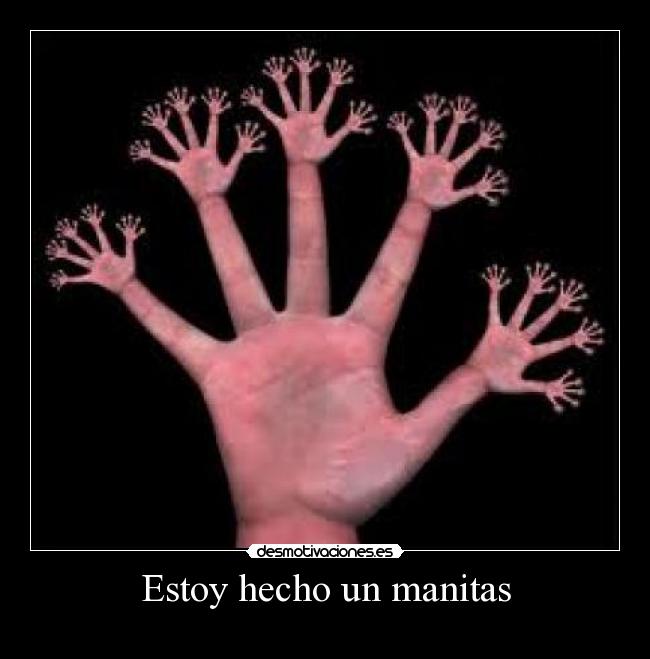 Estoy hecho un manitas - 