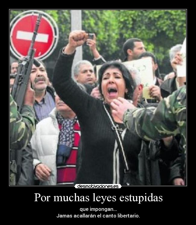 Por muchas leyes estupidas - 