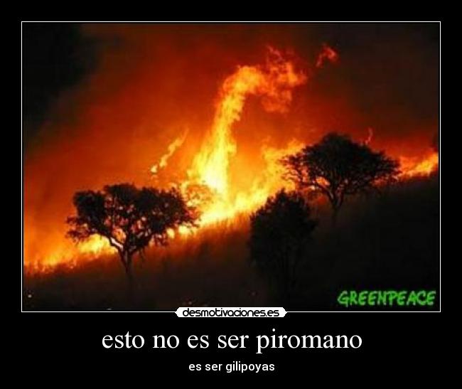 esto no es ser piromano - es ser gilipoyas