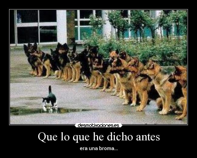 Que lo que he dicho antes - era una broma...