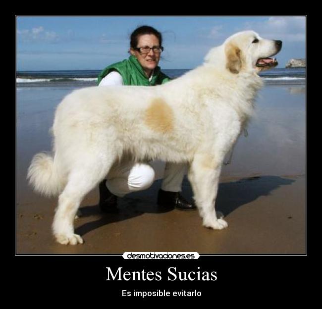 Mentes Sucias - 