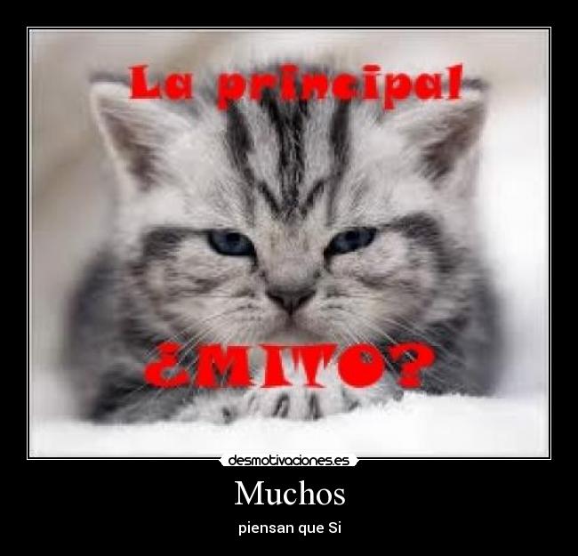Muchos - piensan que Si