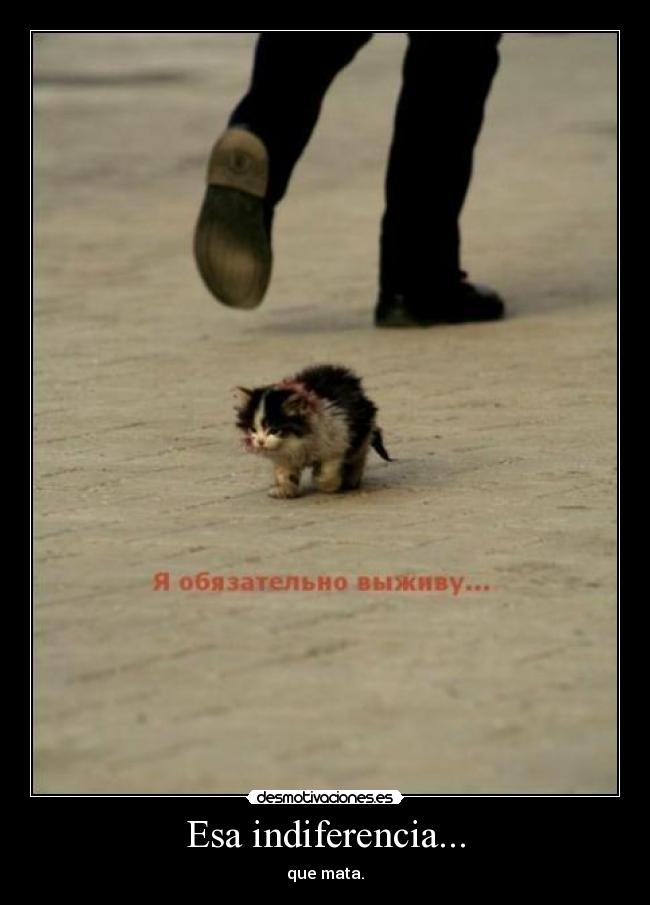 Esa indiferencia... - que mata.