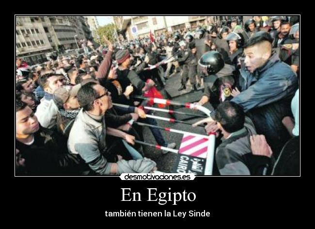 En Egipto - también tienen la Ley Sinde