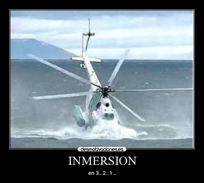 carteles inmersion desmotivaciones