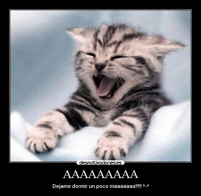 AAAAAAAAA - Dejame dormir un poco maaaaaas!!!!! *-*