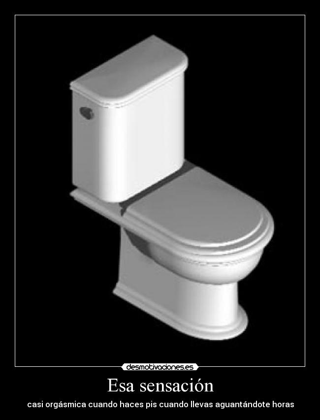 Esa sensación - casi orgásmica cuando haces pis cuando llevas aguantándote horas