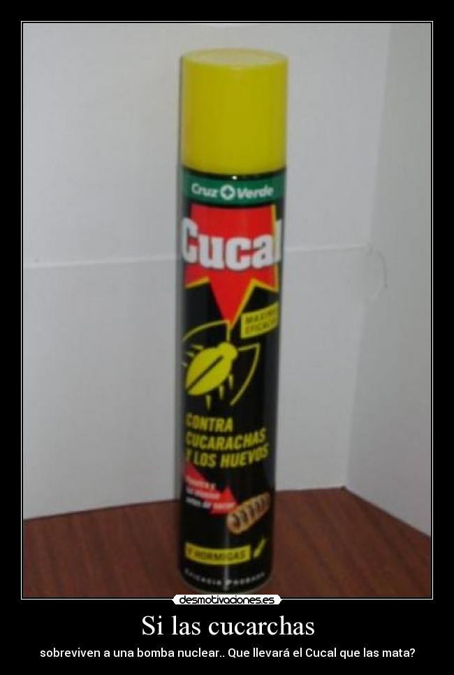 Si las cucarchas - 