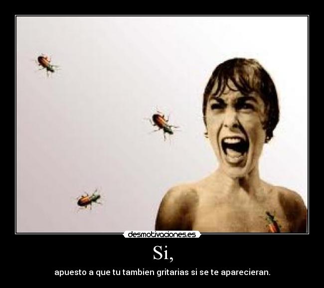 Si, - apuesto a que tu tambien gritarias si se te aparecieran.