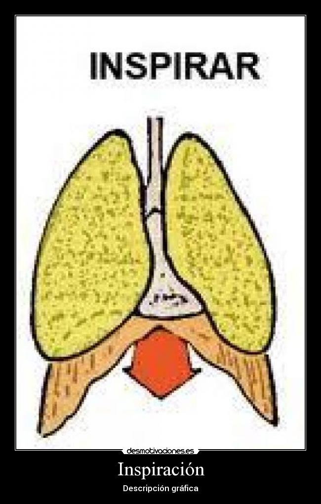 Inspiración - Descripción gráfica