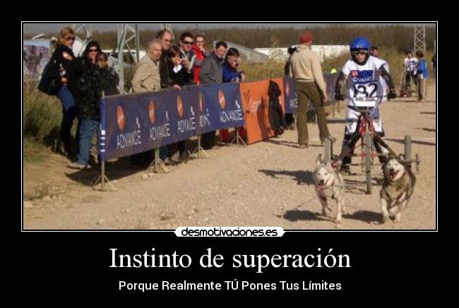 Instinto de superación -