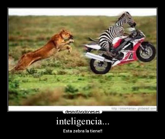 inteligencia... -