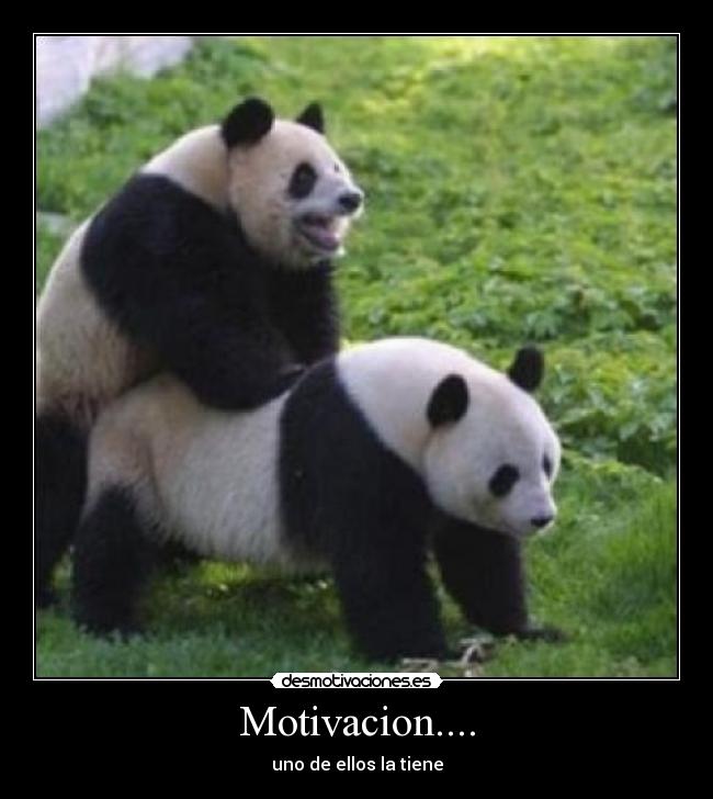 Motivacion.... -