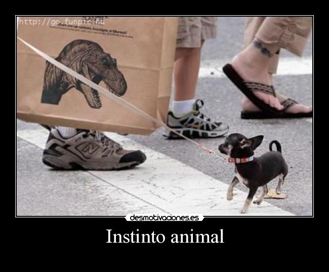 Instinto animal - 