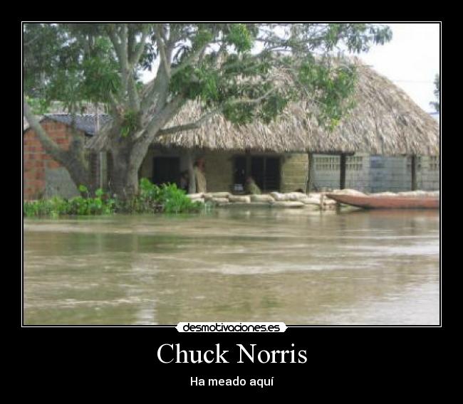 Chuck Norris -