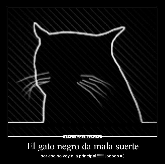 El gato negro da mala suerte - 