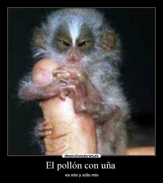 El pollón con uña - es mío y sólo mío