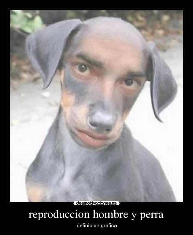 reproduccion hombre y perra - definicion grafica