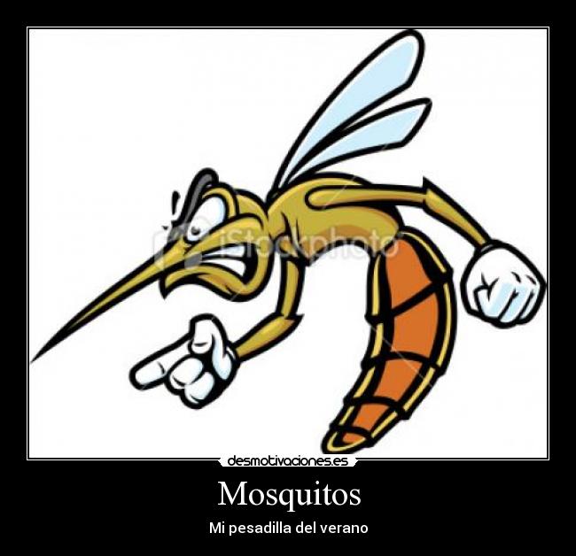 Mosquitos - Mi pesadilla del verano