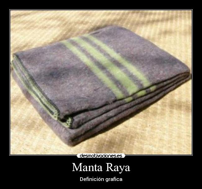 Manta Raya - Definición grafica