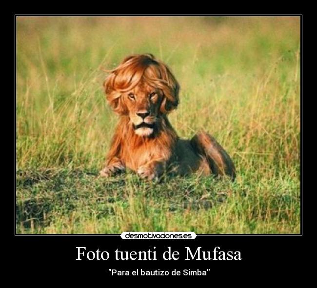 Foto tuenti de Mufasa -