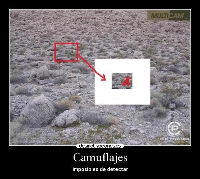 Camuflajes - imposibles de detectar